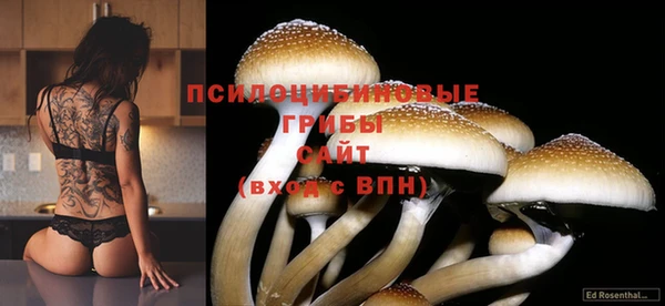 каннабис Новодвинск