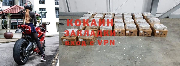 шишки Новокубанск