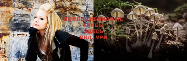 каннабис Новодвинск
