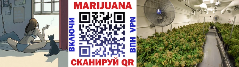 Купить закладки  Опочка  Бошки марихуана семена 